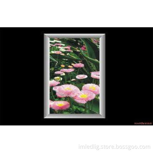 Colorful Frame Waterproof Led Backlit Light Boxes , Outdoor